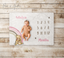 Winnie The Pooh Milestone Baby Girl Milestone Blanket