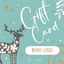 100 USD Gift Card
