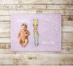 Lilac Pokemon Velveteen Milestone Blanket