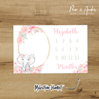 Floral Elephant Accessories set