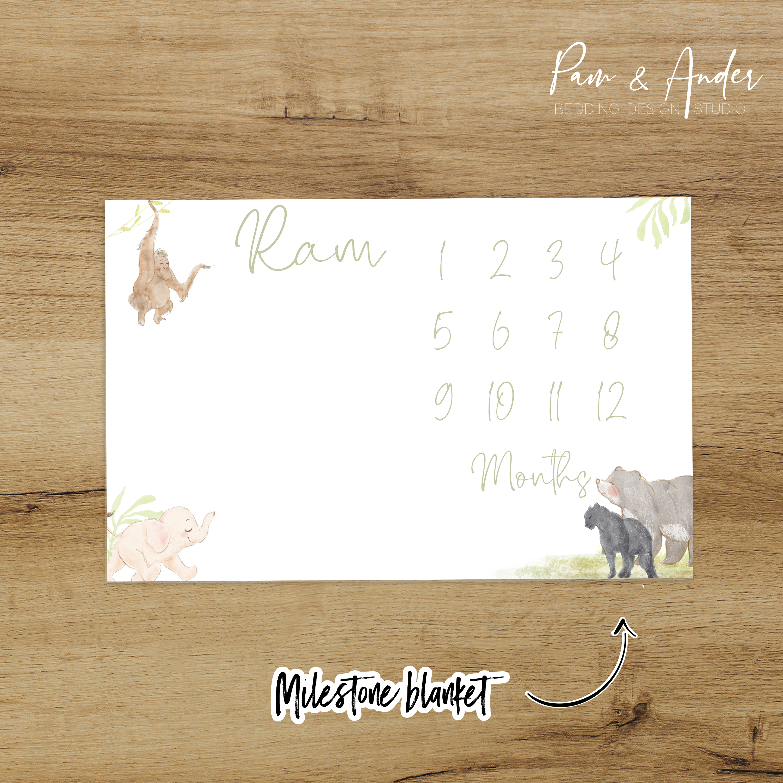 Jungle Book Boy Accessories set