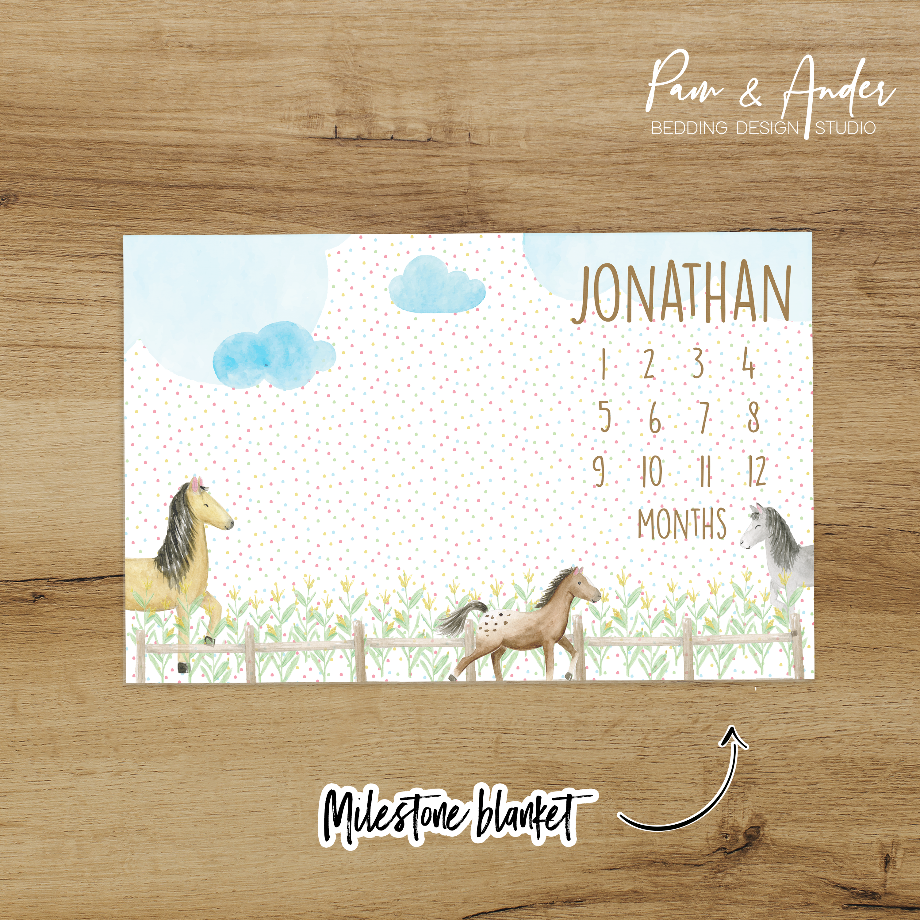 Horse Boy Accessories set