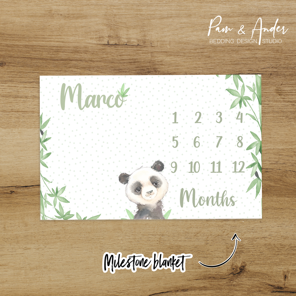 Panda Boy Accessories set