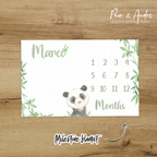 Panda Boy Accessories set