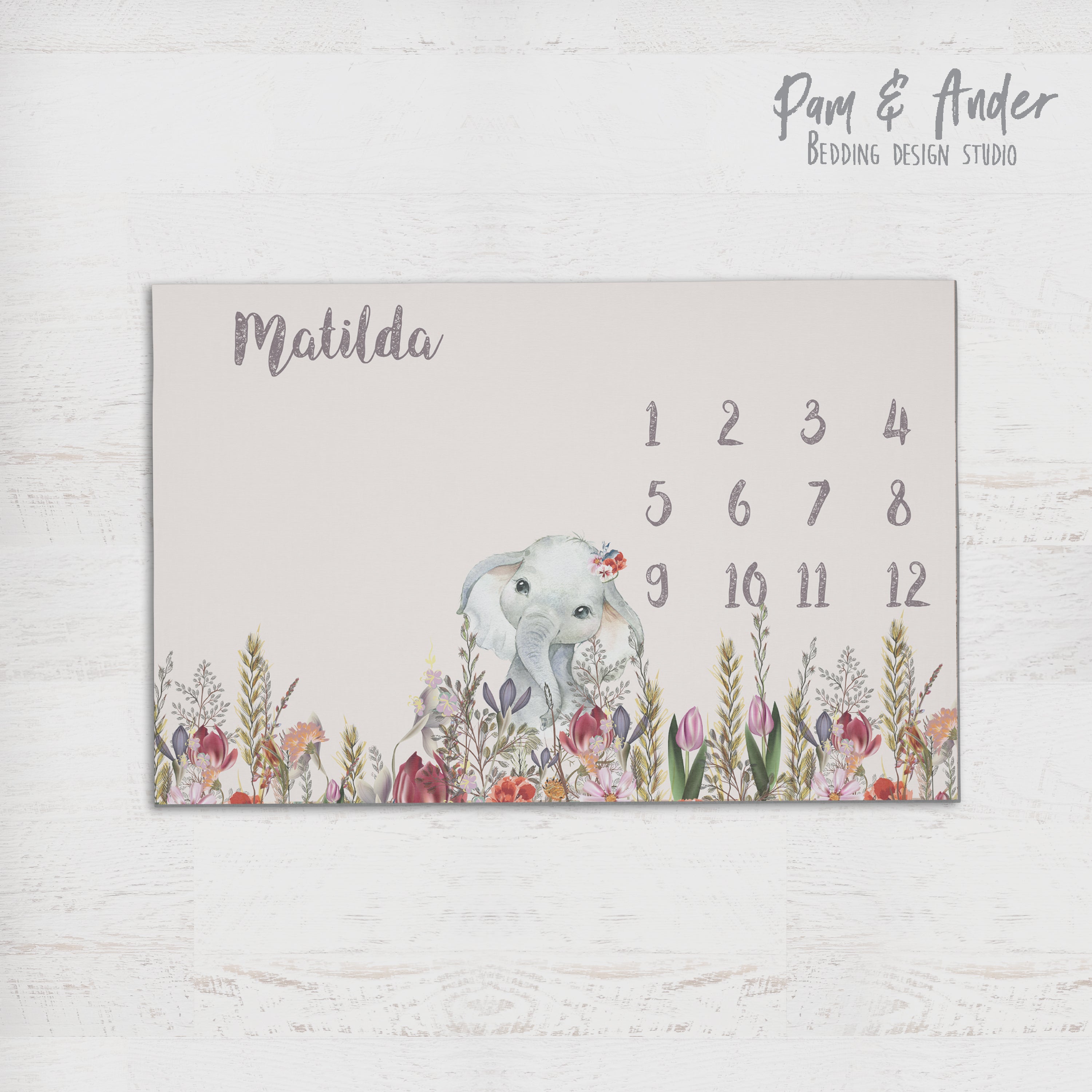 Elephant beige milestone blanket